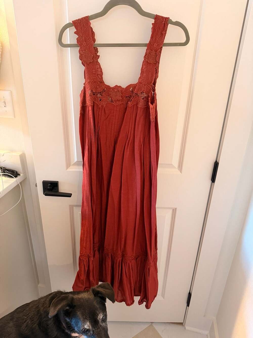 Free People Rust Orange Embroidered Lace Maxi Dress